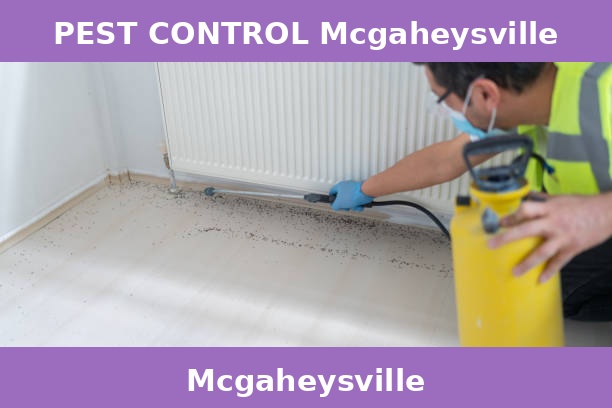 PEST CONTROL Mcgaheysville